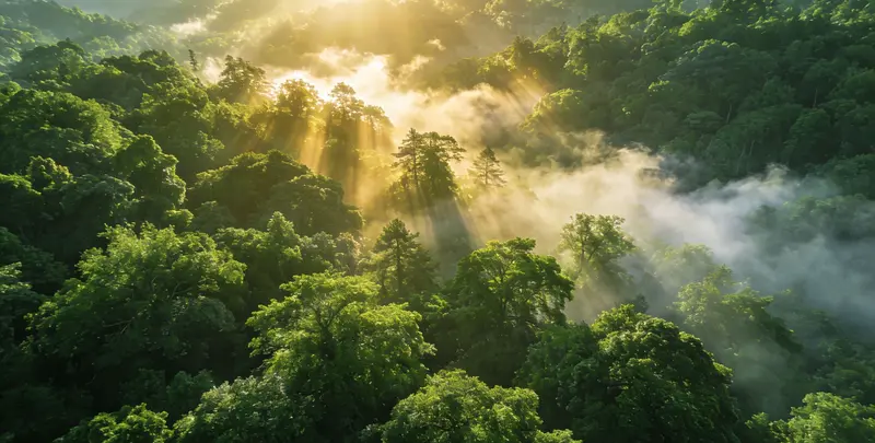 惠州肺癌（EGFR T790M)突变检测图片1